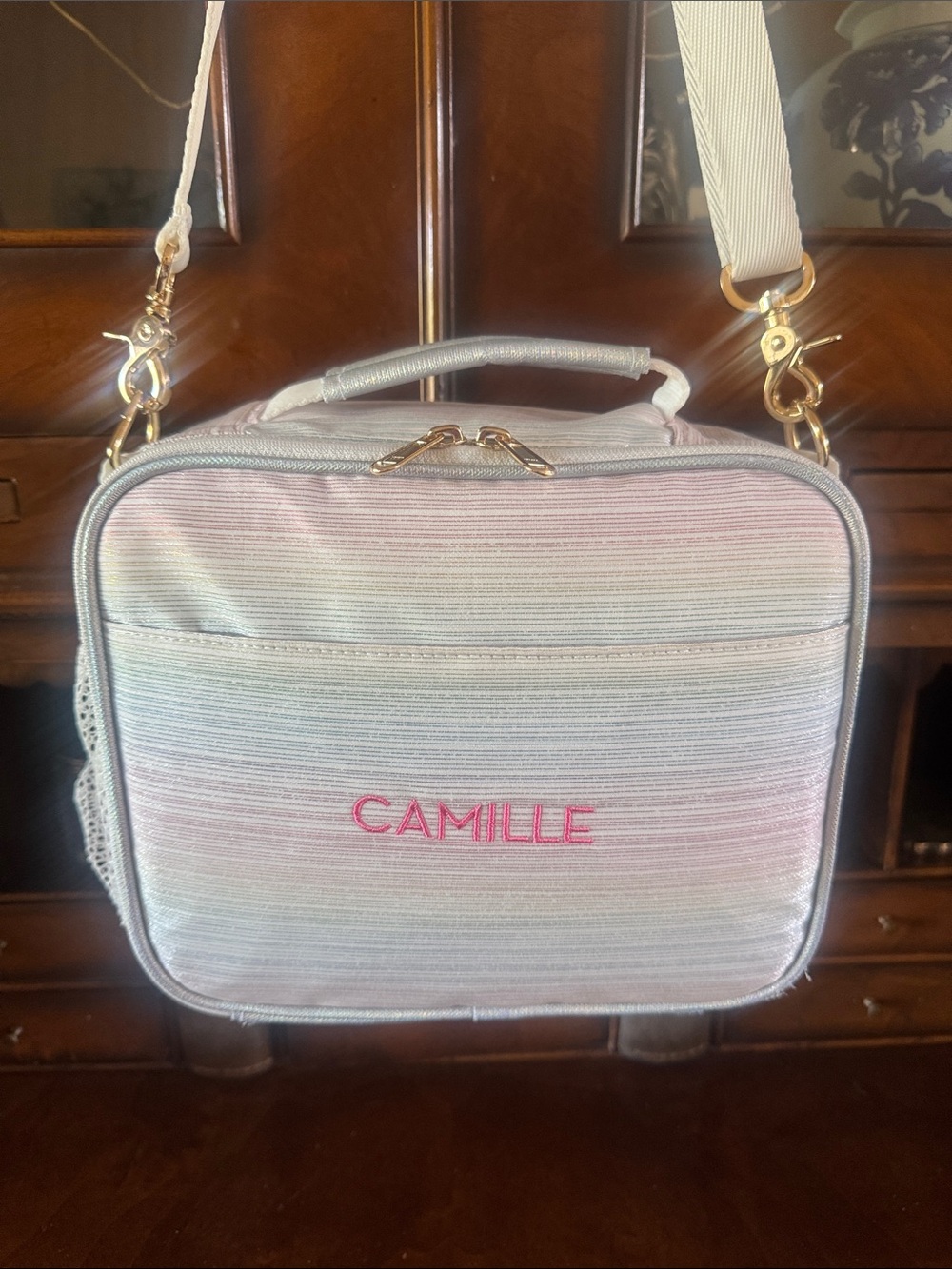 Pottery Barn Teens Ombre Crossbody Lunch Bag "Camille"